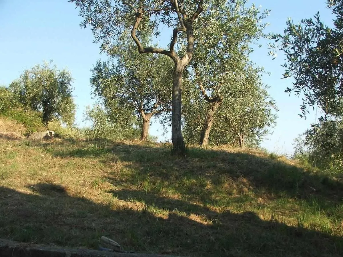 La Casetta Di Sofia Moneglia Italië